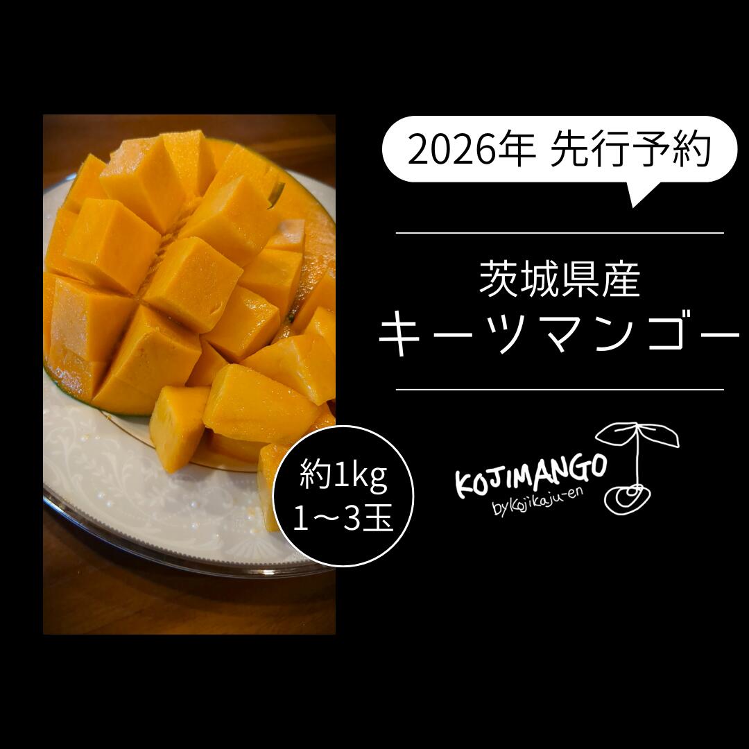 【ふるさと納税】【 先行予約 2026年9月中旬順次発送】 完熟マンゴー 約1kg ( 1～3玉 ) キーツ マンゴー 茨城県 八千代町 2026年発送 2026年先行受付 2026年