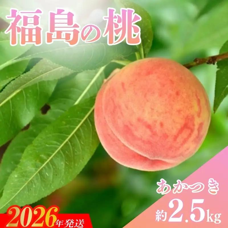 No.3345 福島の桃「あかつき」 約2.5kg (9～11玉)【2026年発送】