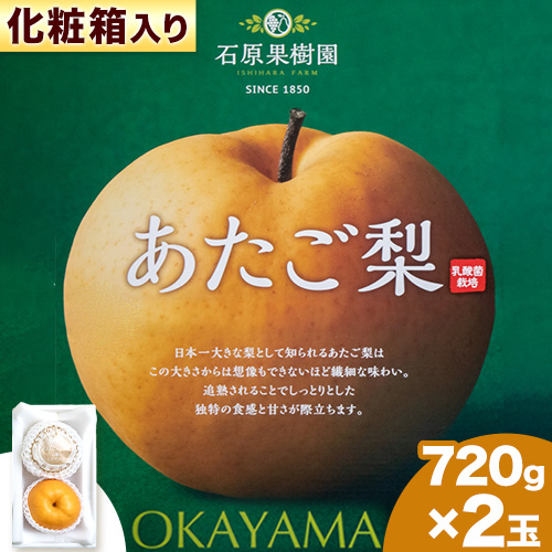 【先行予約】あたご 梨 720g×2玉 化粧箱 石原果樹園 《11月中旬-12月下旬頃より発送予定》岡山県 浅口市 フルーツ 果物 ギフト 贈り物 国産 岡山県産 送料無料