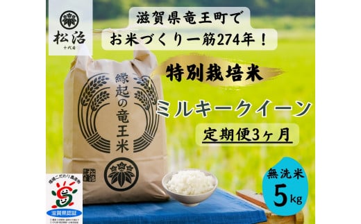 【 数量限定 】 定期便 ミルキークイーン 無洗米 5kg × 3ヶ月 縁起の竜王米 ( 令和7年産 米 無洗米 5kg 3回 定期 お米 おこめ ごはん 米 特別栽培米 ブランド米 ライス こだわり米 ギフト 国産 縁起の竜王米 滋賀県竜王町 )