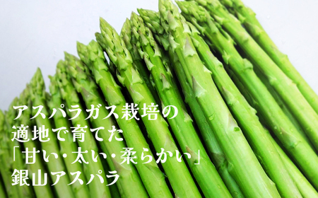 春採り 銀山アスパラガス 2Lサイズ(極太) 2kg 令和8年産 nk-vga2x2