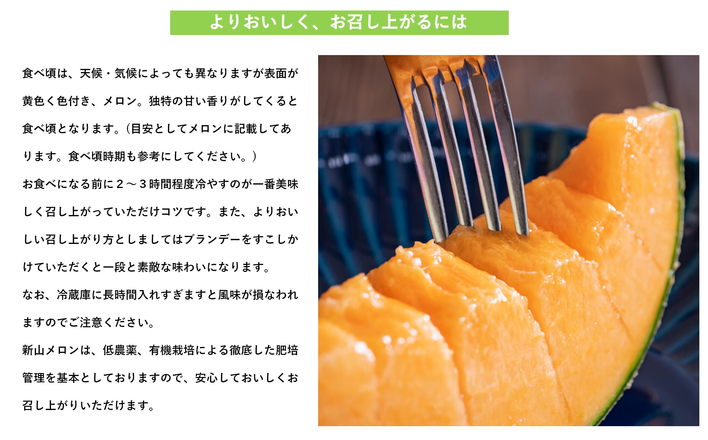 ＜2026年7月下旬よりお届け＞北海道壮瞥産 赤肉メロン（ニューキングメロン）2玉 約3kg SBTN003