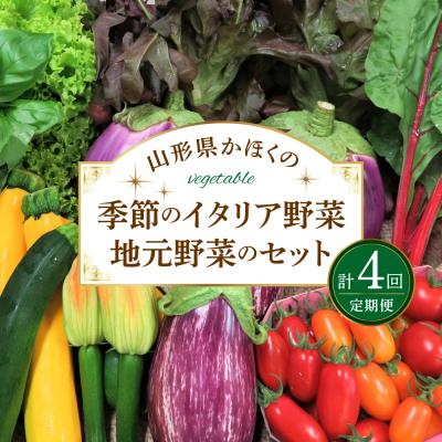 ふるさと納税 河北町 ※2026年7月発送開始【計4回定期便】山形県かほくの季節のイタリア野菜・地元野菜のおまかせセット