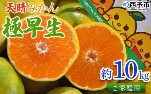 ＜天晴みかん 極早生 家庭用 約10kg＞ 温州 柑橘 果物 くだもの フルーツ ミカン 蜜柑 訳あり ワケアリ 自宅用 期間限定 季節限定 食べて応援 特産品 産地直送 愛媛県 西予市【常温】