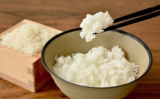 【定期便】長老米 2kg×6カ月連続 総量12kg 京都 京丹波町産 米 コシヒカリ 清流育ち 栽培地域限定 ※北海道・東北・沖縄・その他離島は配送不可
