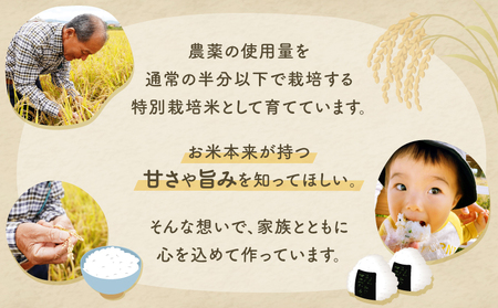 【3回定期便】減農薬米 特別栽培米 畑中さんの ひのひかり 白米10kg ヒノヒカリ 奈良県 三宅町