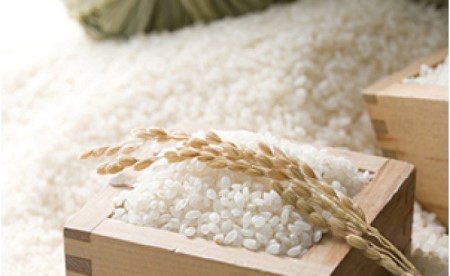 令和7年産 阿武町 「 うもれ木の郷 」 こしひかり 2kg×3袋 【 エコやまぐち認証 】 
