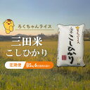 【ふるさと納税】【定期便】 令和6年度産 三田米 コシヒカリ 5kg 6ヶ月連続 こめ コメ お米 白米 こしひかり 数量限定 訳あり ふるさと納税 ふるさと 人気 おすすめ 送料無料 兵庫県 三田市　定期便　お届け：10月上旬～9月末まで