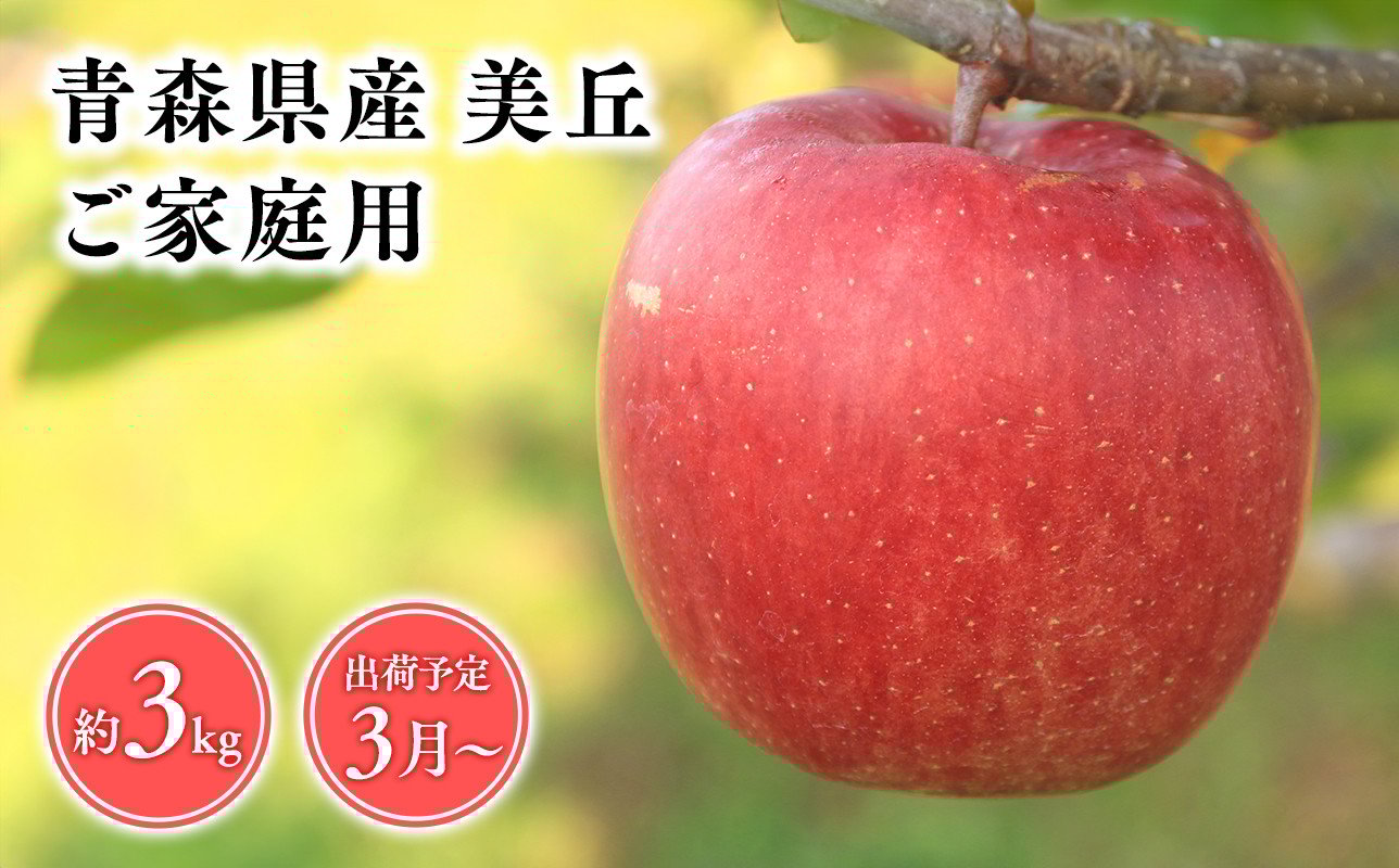 
            2025年産 3月発送　【訳あり】家庭用美丘3kg【青森県 平川市 そと川りんご園】３月発送 家庭用 りんご リンゴ 林檎 くだもの 果物 詰め合わせ 旬 フルーツ ３月  青森県産 青森 
          