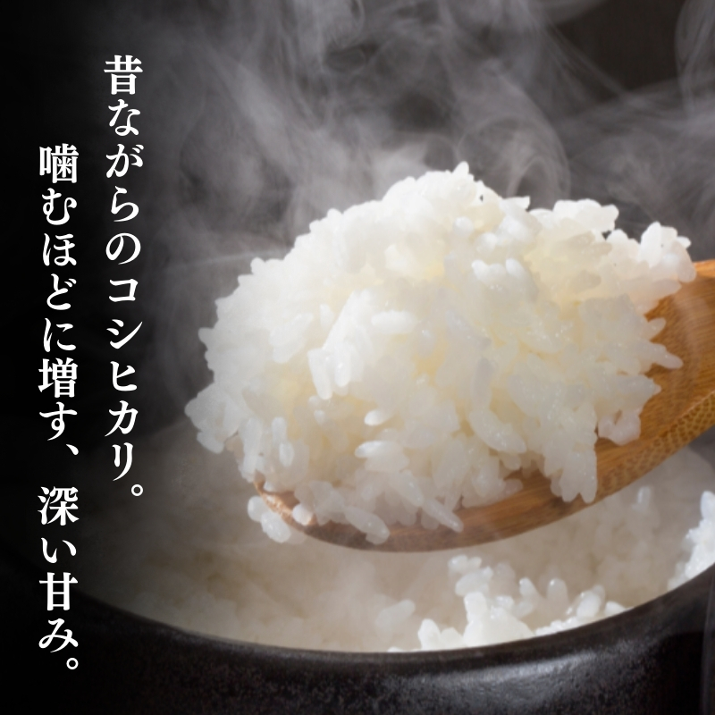 米 【令和7年産】 新潟県上越産 特別栽培米 コシヒカリ 【白米】 5kg 5キロ お米 こめ 白米 こしひかり