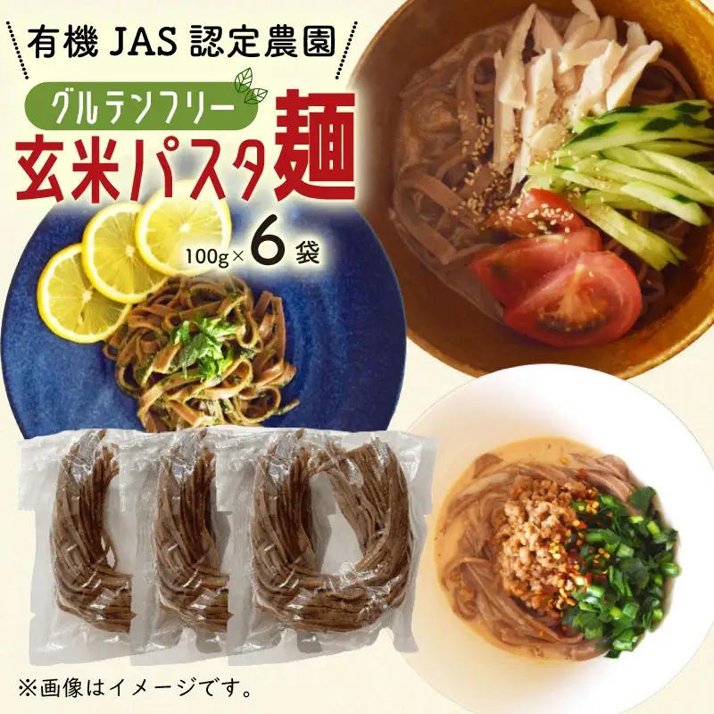 有機グアバ農園のグルテンフリー玄米パスタ麺 100g×6袋セット【グルテン フリー ダイエット 健康 食品  人気 おすすめ 高知県 南国市】