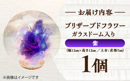 プリザーブドフラワー　ガラスドーム (紫) / 花 プレゼント 贈答用 ガラス 母の日 父の日 入学式 卒業式 菊陽町 熊本県【株式会社 美向】[BHDC005]