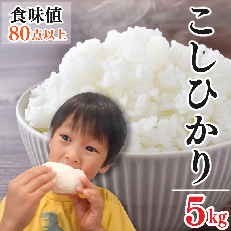 
            お米 新米 コシヒカリ 5kg 令和6年産 米 こめ ご飯 ごはん おにぎり 白米 食品 備蓄 備蓄米 保存 防災 ギフト 贈答 プレゼント お取り寄せ グルメ 送料無料 徳島県 阿波市 やまさ農園
          