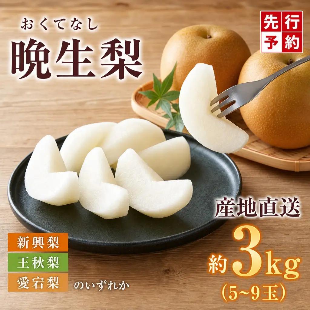 【2026年産】先行予約 梨 晩生梨 （ 新興梨 王秋梨 愛宕梨 のいずれか ） 3kg 5～9玉 【令和8年10月中旬以降発送予定】 フルーツ 果物  12-06