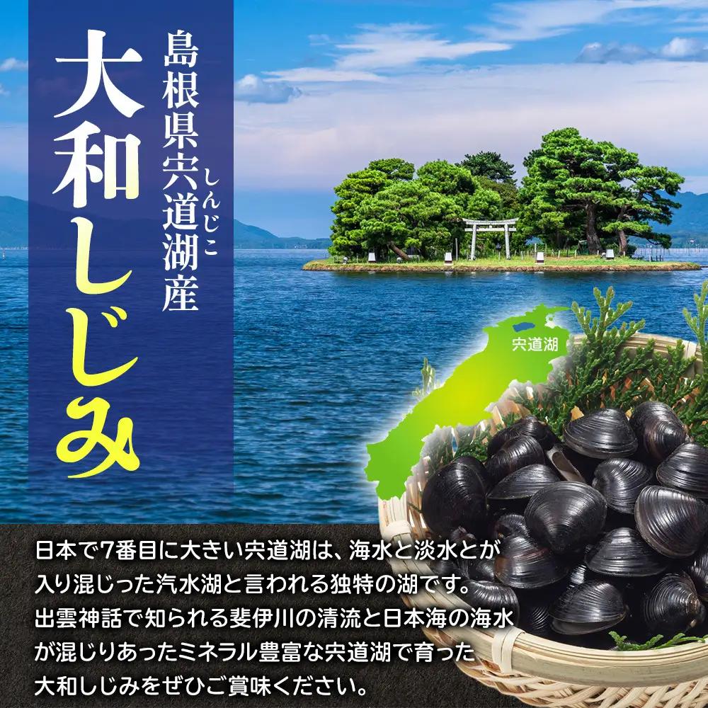 宍道湖産 冷凍しじみ Lサイズ 2kg 殻幅14～16mm しじみ