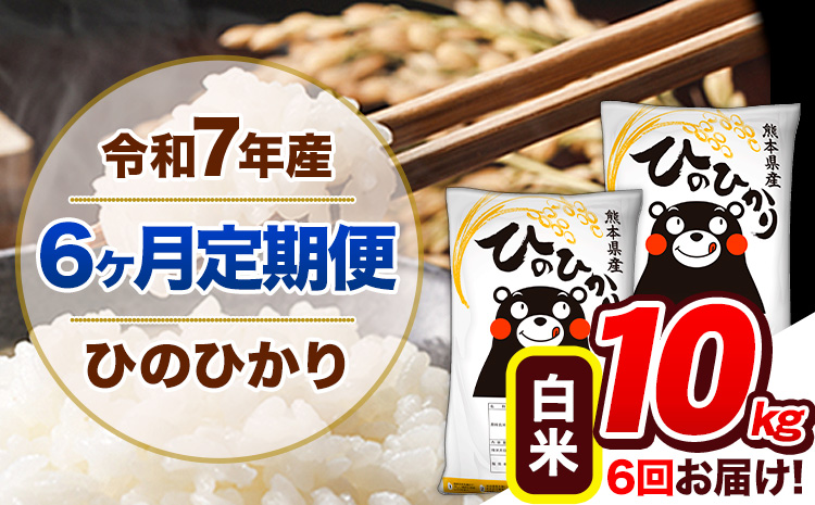 【6ヶ月定期便】令和7年産 定期便 ひのひかり 白米 10kg 《お申込み翌月から出荷》熊本県産 ふるさと納税 白米 精米 ひの 米 こめ ふるさとのうぜい ヒノヒカリ コメ 熊本米