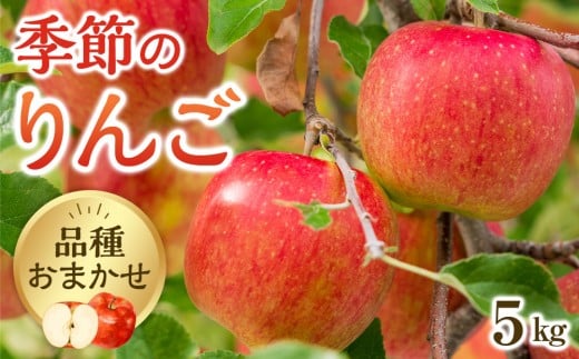 【品種はおまかせ】季節のりんご 5kg箱 ※2026年10月上旬～10月下旬頃に順次発送予定【りんご 林檎 フルーツ 果物 新鮮 先行予約 おまかせ 季節 鳥取県 北栄町 おすすめ 人気】