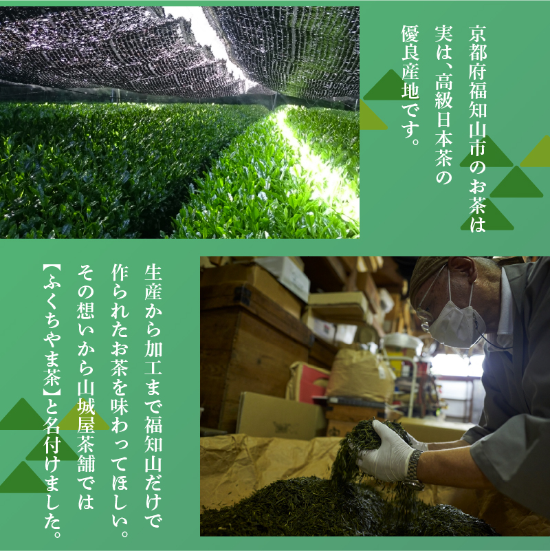福知山産抹茶をふんだんに使った濃厚抹茶アイスバー6本セット / アイス アイスバー ふくちやま抹茶 爽やか 濃厚 抹茶味 ソルベ 棒アイス デザート 和スイーツ 福知山茶 碾茶 てんちゃ 熨斗 福知山