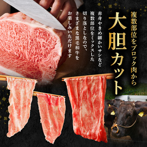 S001-001A_A4～A5等級 黒毛和牛 切り落とし 1kg（500g×2P）