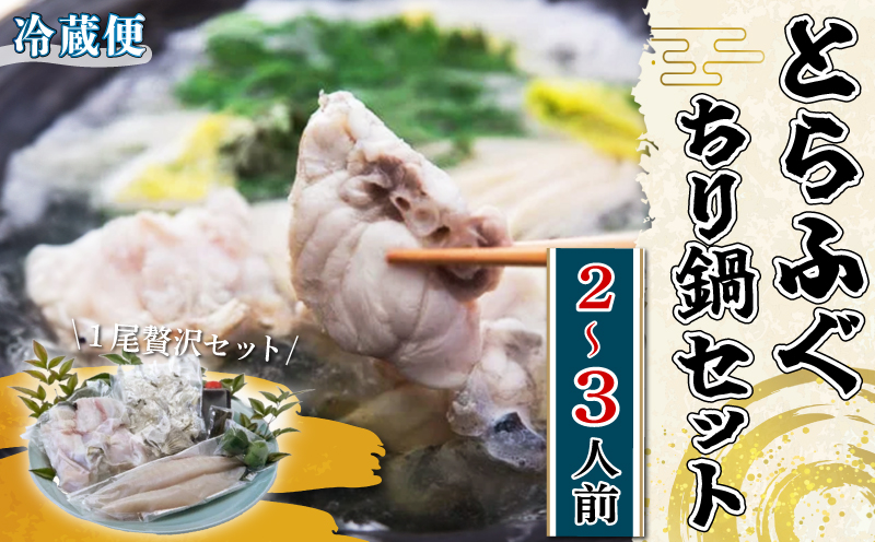 先行予約 活とらふぐ ちり鍋 セット 1尾 (2～3人前) ＜南知多 料理宿監修＞ ふぐちり 愛知県 南知多町 人気 おすすめ