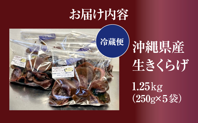 生きくらげ1.25kg (250g5袋) | 就労継続支援B型事業所パピルス | 国産 肉厚 ぷるぷる 産地直送 採れたて 新鮮 | 健康 美容 鉄分 食物繊維 ビタミンD グルメ | 沖縄県 宜野湾市 送料無料