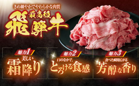 【6回定期便】 ※冷蔵配送/地域限定※ 飛騨牛 小間切 450g 瑞浪市 / きなぁた瑞浪&nbsp;和牛 国産 岐阜県産[AZCI069]
