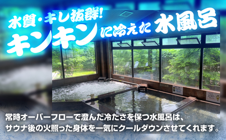 サウナピア ご利用チケット 10枚 (レギュラー) 