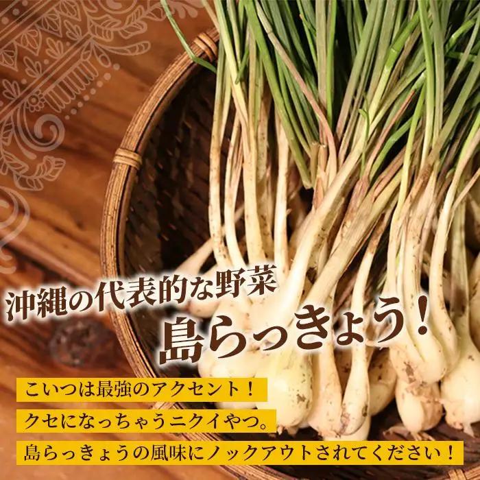 MOSESU CURRYの島カレーシリーズ　島らっきょうとひき肉のカレー 250g×3食（FP004）