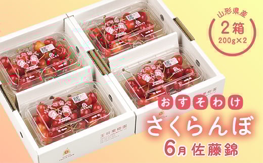 《先行予約 2026年度発送》おすそ分けさくらんぼセット6月 FSY-0061