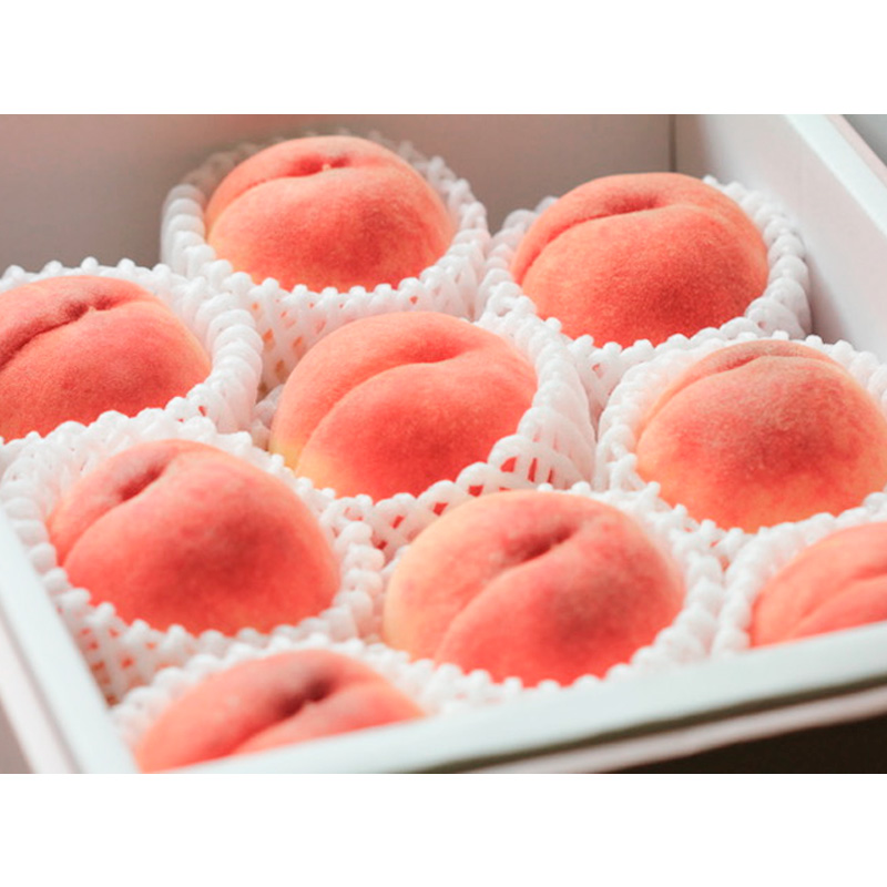 山形自慢の白桃 秀品 3kg (柔らかくなる桃） FY24-008