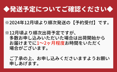 【朝摘みをお届け！】【2024年12月頃より順次発送】 フルーツガーデンやまがたのいちご「うずしおベリー」大粒30個  【数量限定】 いちご フルーツ 果物 苺 イチゴ 旬の果物 季節の果物 鳴門の果