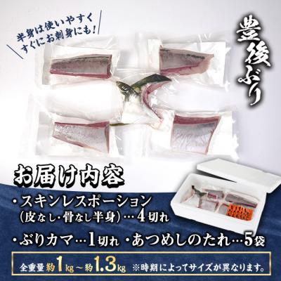 ふるさと納税 佐伯市 <先行予約受付中!2025年12月に順次発送予定>豊後ぶり半身セット (合計1kg以上) |  | 02