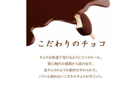 110.【定期便3ケ月】PARM（パルム）チョコレート（マルチ）6本入×6箱/チョコレート&チョコレート～厳選カカオ仕立て～ 6本入×3箱　計54本