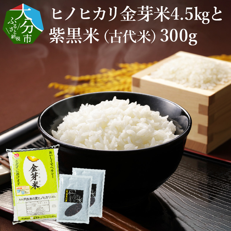 
            ヒノヒカリ金芽米4.5kgと紫黒米（古代米）300g 米 白米 丹川 無洗米 ヘルシー セット 美味しい ご飯 栄養 健康 B01013
          