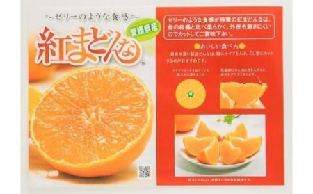  紅まどんな【JAえひめ中央】 青秀　L～2Lサイズ　 （ みかん 柑橘 フルーツ まどんな みかん 愛媛 みかん 紅まどんな 蜜柑 みかん ）【FA0732】