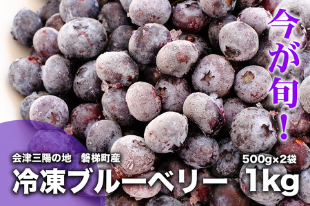 【予約】冷凍ブルーベリー 1kg 直径13mm以上　※7月下旬発送予定