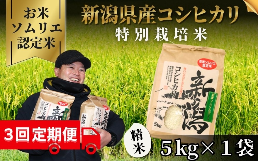 
                  【先行予約】【令和8年産】〈3回定期便〉【お米ソムリエのお米】 特別栽培米コシヒカリ 精米 5kg（5kg×1袋） 新潟県 五泉市 エバーグリーン農場
                