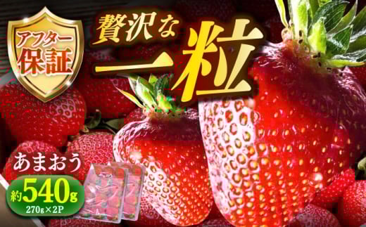 いちご 朝採り 博多あまおう 約270g×2 【2月1日から順次発送】 《築上町》【株式会社H&Futures】 [ABDG003] 10000 10000円 新鮮 いちご 苺 イチゴ 果物 フルーツ いちご 甘い ichigo strawberry イチゴ 生いちご 福岡県 築上町 ichigo お取り寄せいちご あまおう 甘い 赤い イチゴ 産地直送 農家直送 贈答 くだもの 旬 新鮮 いちご
