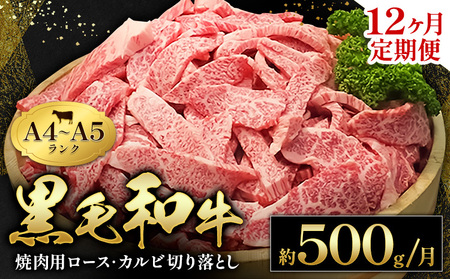 【12ヶ月定期便】黒毛和牛  ロース カルビ 切り落とし 500g A4 A5｜牛肉牛肉牛肉 田中畜産