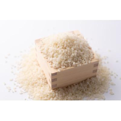 ふるさと納税 塩谷町 【令和7年度】「奇跡のお米 神宝米」白米 真空パック1kg×2パック |  | 02