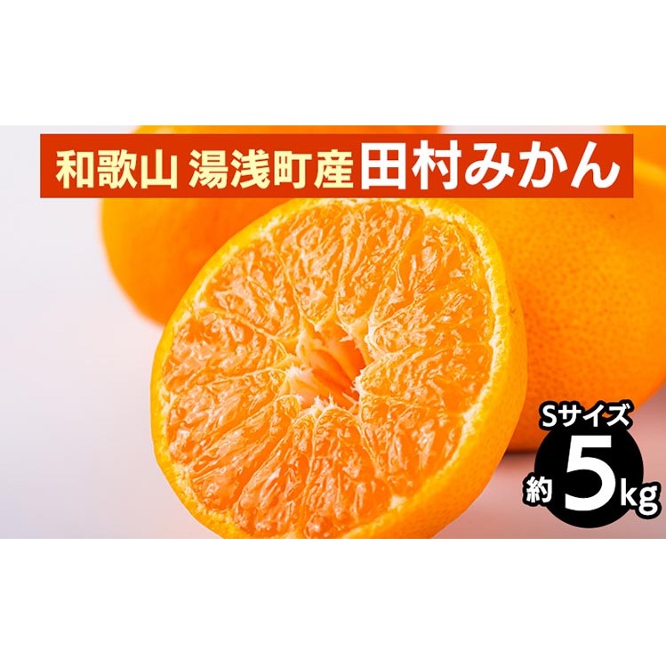 【先行予約】 田村みかん 約5kg 【Sサイズ】 和歌山県 湯浅町 田村地区産