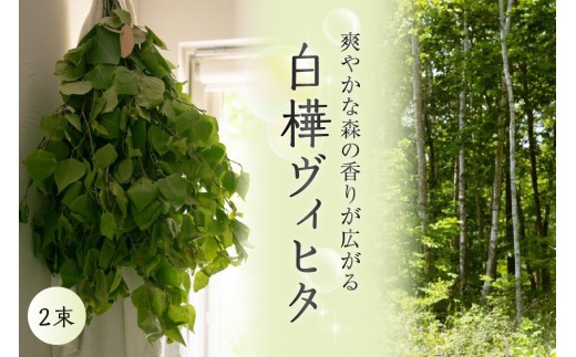 
                  北海道芽室町産「白樺ヴィヒタ」2束　me055-002c-3
                