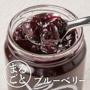 【ふるさと納税】まるごとブルーベリージャム 計4本（大瓶400g×2本　小瓶190g×2本）《信州うちやま農園》 フルーツ 果物 ブルーベリー ジャム