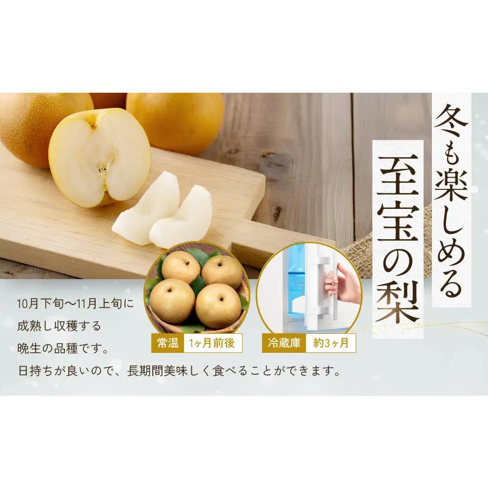 【先行予約】訳あり 数量限定 鳥取県産 王秋梨（おうしゅうなし） 約5kg （7～15玉）≪2026年11月中旬頃出荷≫ 【鳥取県 境港市】