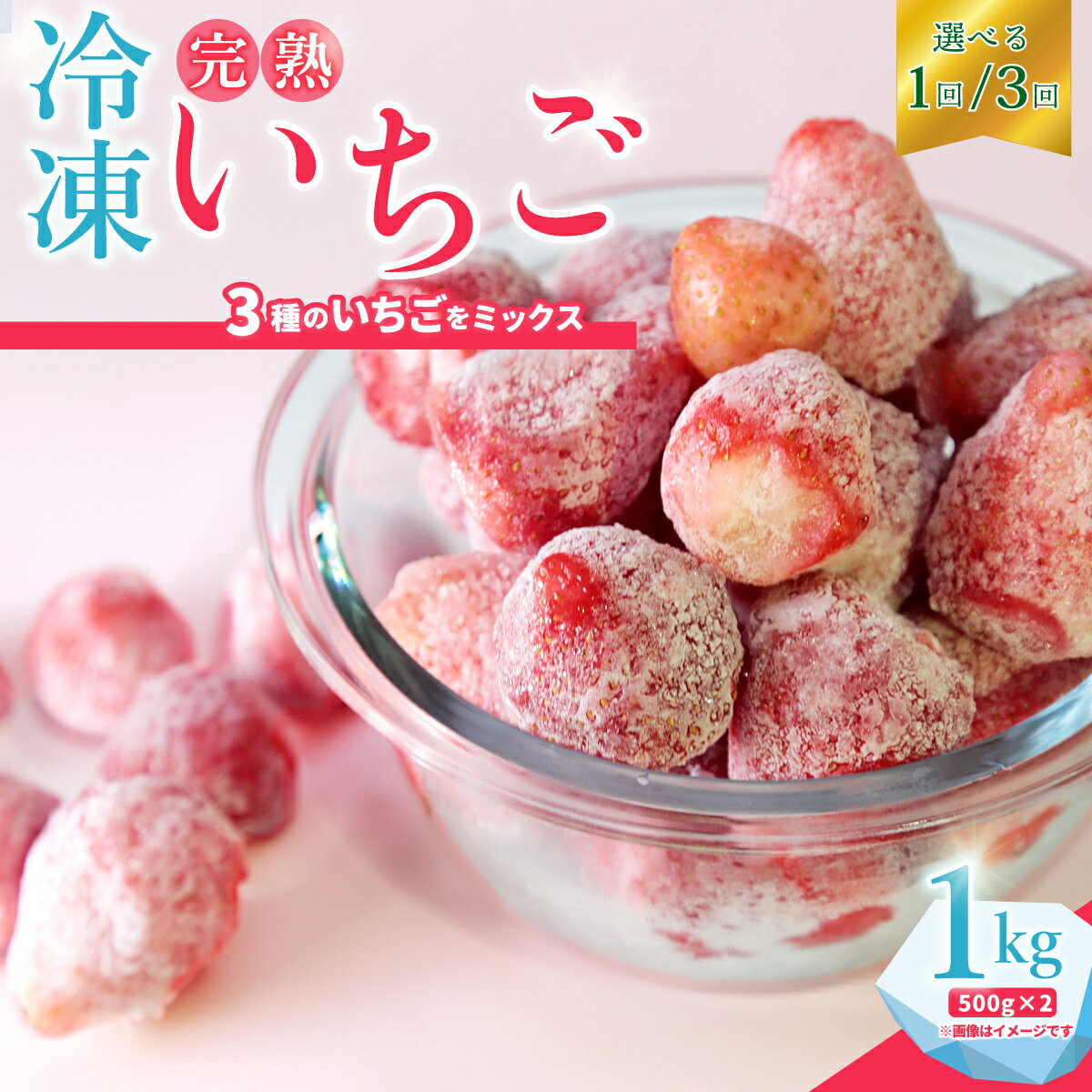 【ふるさと納税】冷凍いちご 1kg 500g×2袋 選べる配送 通常便 3カ月定期便 | 茨城県 常陸太田市 檜山いちご園 いちご 苺 フルーツ 冷凍 いばらキッス ひたち姫 やよい姫 おいしい 人気 お取り寄せ アレンジ スイーツ ジャム スムージー デザート プレゼント ギフト 贈答品