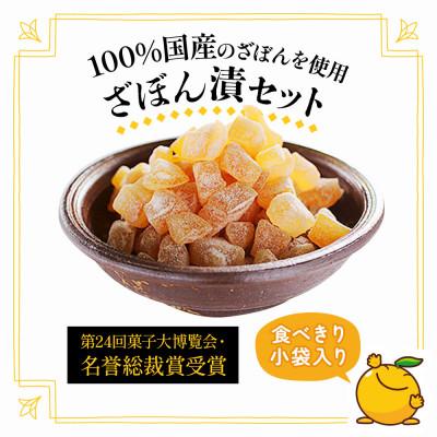 ふるさと納税 津久見市 伝統銘菓　ざぼん漬セット(100g入×10袋)(津久見市) |  | 01