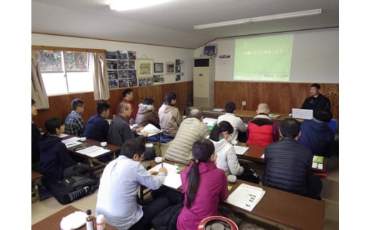 定期便 ３ヶ月 山口農園 有機野菜 おまかせセット＋カレー２箱 詰合せ 冷蔵 月１回 ／山口農園 有機野菜 伝統野菜 オーガニック ベジタリアン 定期便 カレー 無農薬 野菜セット 送料無料 無農薬 