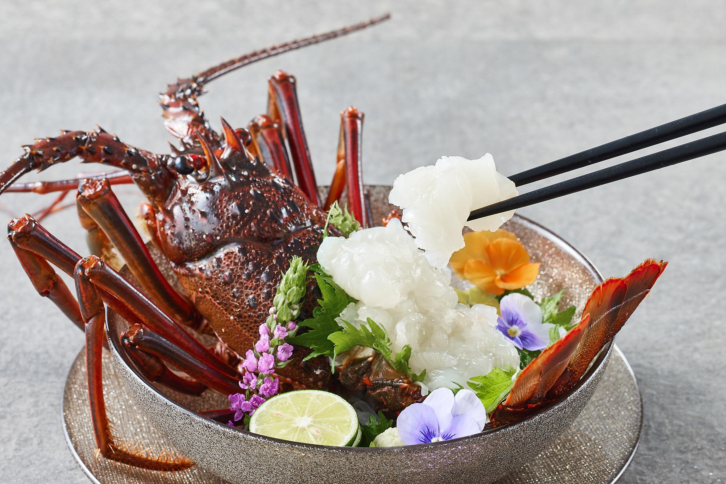 【特大】天然 活 伊勢海老 １匹（700g～900g）南紀黒潮イセエビ 年末年始 お正月 お届け可 ｜期間限定 漁師直送 海鮮 海老 とれたて 人気 高級 産地直送