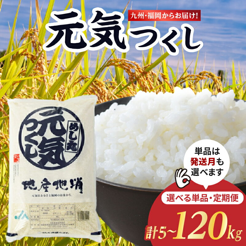 【ふるさと納税】【特A獲得 4年連続 米の食味ランキング】九州・福岡からお届け！ブランド米「元気つくし」 選べる内容量(5kg.10kg) 定期便(3回、6回、10回、12回) 選べる発送月 お米 米 白米 元気つくし 特A 福岡県 八女市