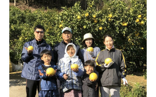 楽木工房 の 土佐文旦 （ご 家庭用 ）10kg 《3L～4Lサイズ》 ［1406］